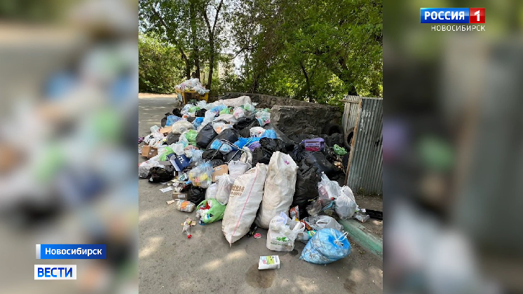 Новосибирцы пожаловались на огромную свалку во дворе дома