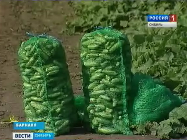 Россия полностью не сняла запрет на импорт овощей из стран Евросоюза