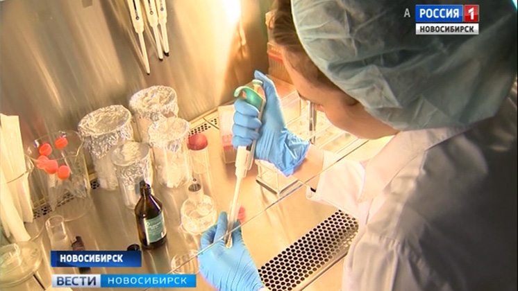 Новосибирские ученые работают над криоконсервацией эмбрионов краснокнижных животных