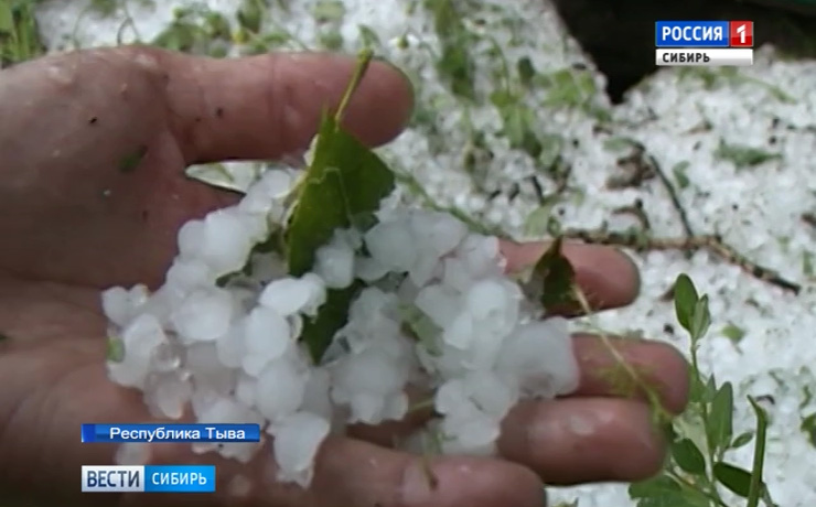 В Алтайском крае и Тыве ликвидируют последствия урагана