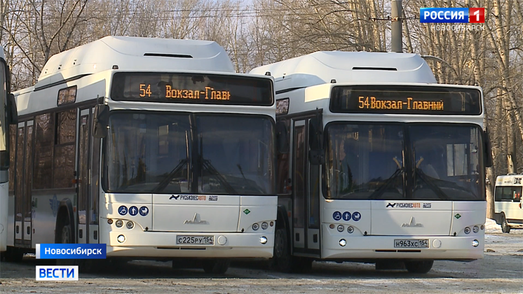 Новые автобусы из Белоруссии вышли на линию в Новосибирске