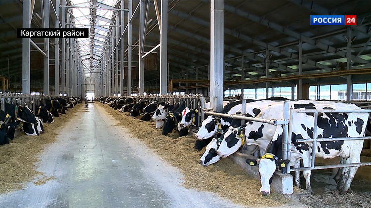 Новосибирские производители гарантируют безопасность и качество молочной продукции