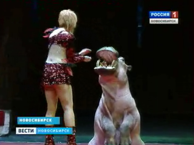 В новосибирском цирке уникальная московская программа &quot;Мега-цирк&quot;