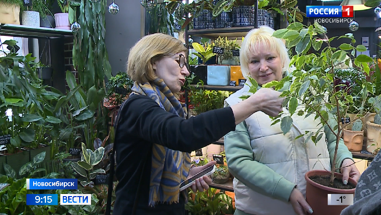 В Новосибирске цветоводы-любители обменялись растениями на первом в сезоне СВОПе