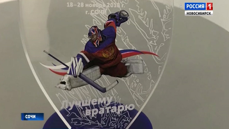 Юные новосибирские хоккеисты возвращаются с наградой из Сочи