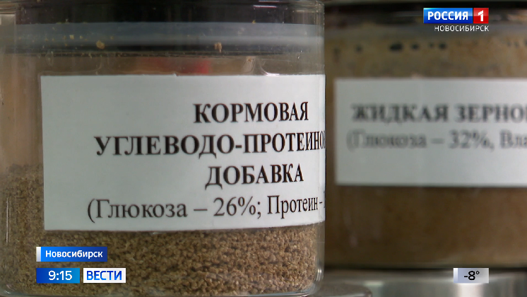В Новосибирске разработали кормовую добавку для повышения надоев и привесов мяса