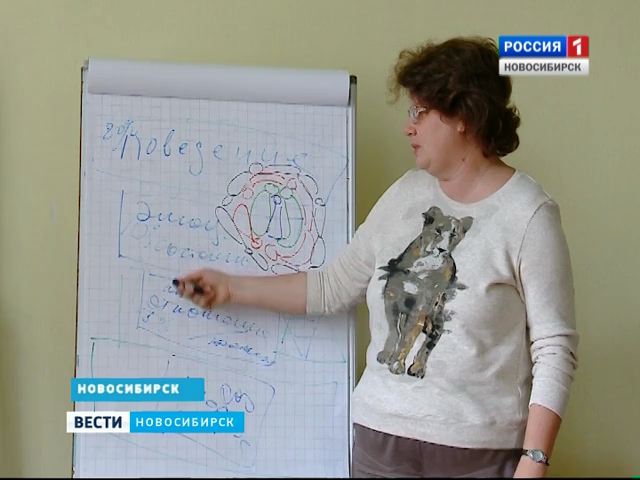 af1acb6b36370d933dbd7297db03e413.png