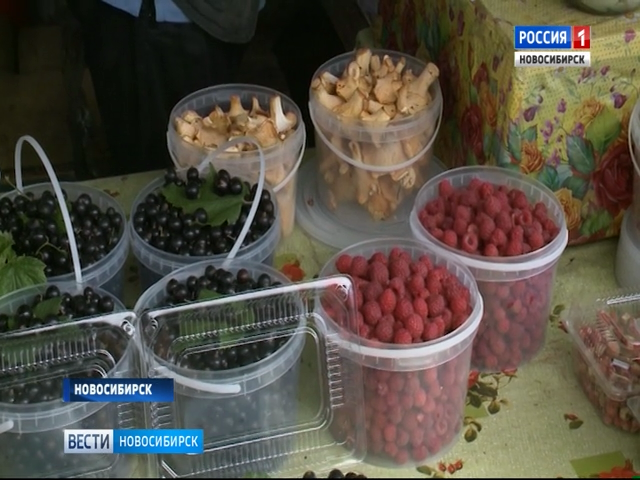 «Вести» узнали, насколько в Новосибирской области подорожала ягода