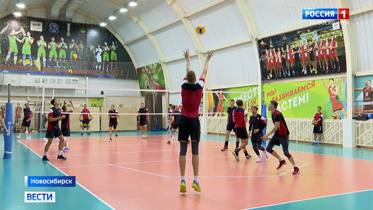 Игроки волейбольного «Локомотива» возобновили совместные тренировки в Новосибирске