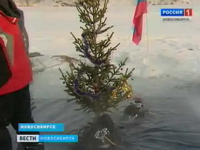 Дайверы погрузили ёлку на дно озера в Новосибирске