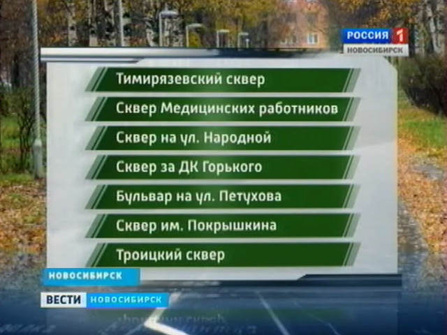 В Новосибирске подвели итоги работы по благоустройству и озеленению