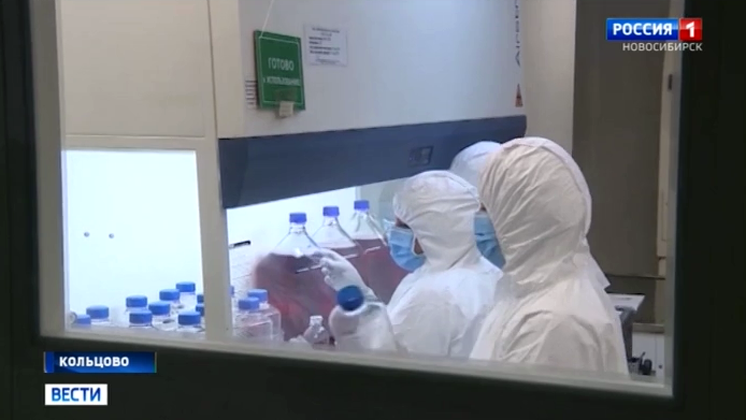 Сибирские ученые начали испытания вакцины против коронавируса