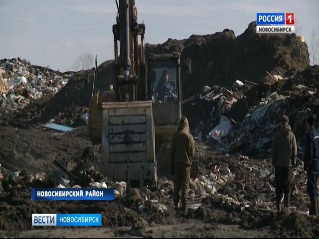 Свалка отравляет жизнь жителям Новосибирского района