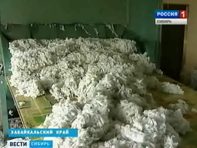 Забайкальское предприятие по переработке шерсти столкнулось с экономическими проблемами