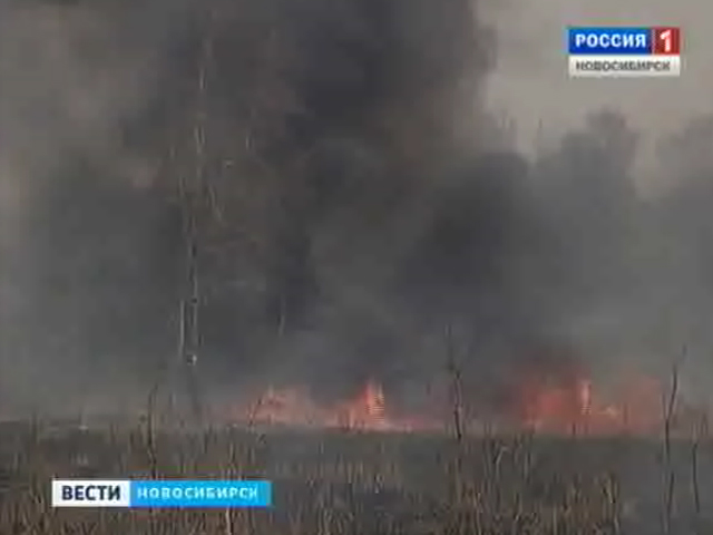 МЧС в Новосибирской области объявит пожароопасный сезон