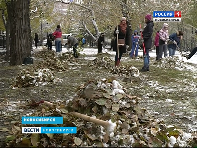 Снегопад не помешал субботнику в Новосибирске