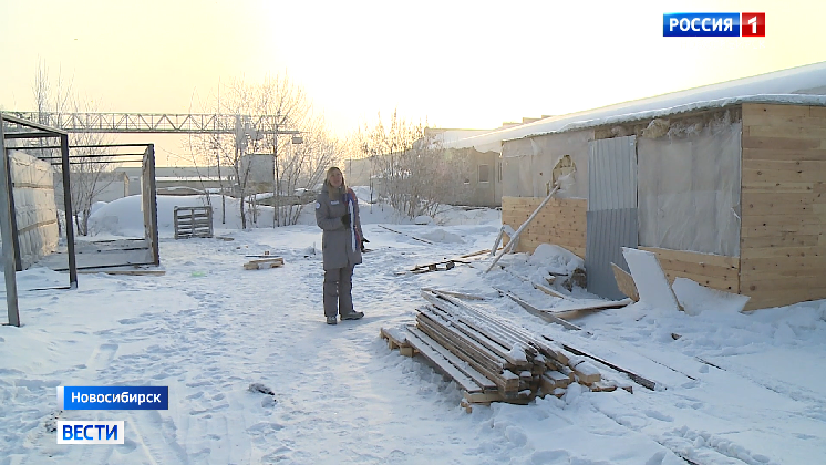 Строительство дачного домика заказала жительница Новосибирска и осталась без денег и постройки