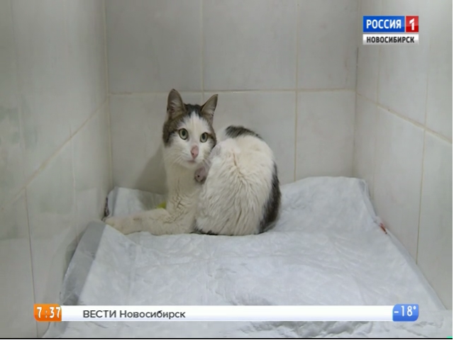 d14f1423d29dccf461fa34cbaf6a4f12.png