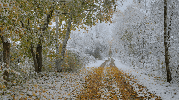 Покров-2021 в Новосибирске обещает тёплую и малоснежную зиму