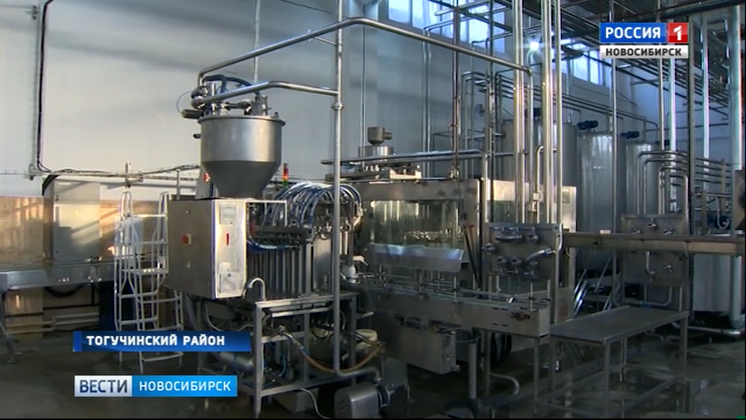 На молочном заводе в Тогучинском районе запустили новую линию по выпуску продукции