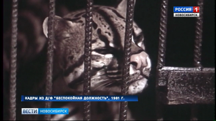 Московские документалисты ищут информацию об одном из первых руководителей Новосибирского зоопарка