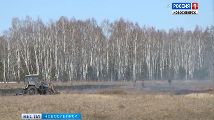 С 1 мая будет установлен особый противопожарный режим на территории Новосибирской области