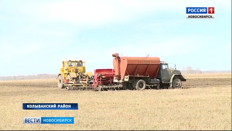 Аграрии Колыванского района не могут начать посевную