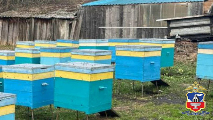 Новосибирские подростки украли улей с пчелами на Алтае