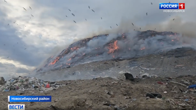 В Новосибирске завели уголовное дело из-за пожара на мусорном полигоне