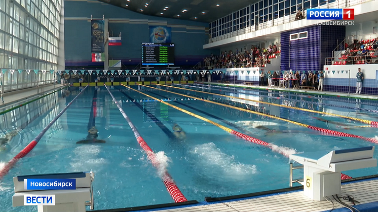 В Новосибирске стартовали всероссийские соревнования пловцов «Золотая ласта»