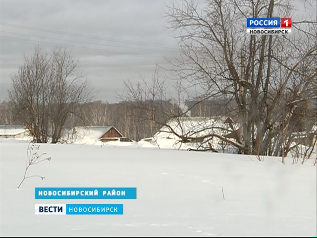 Жители поселка в Новосибирском районе оказались отрезаны от мира из-за обилия снега   