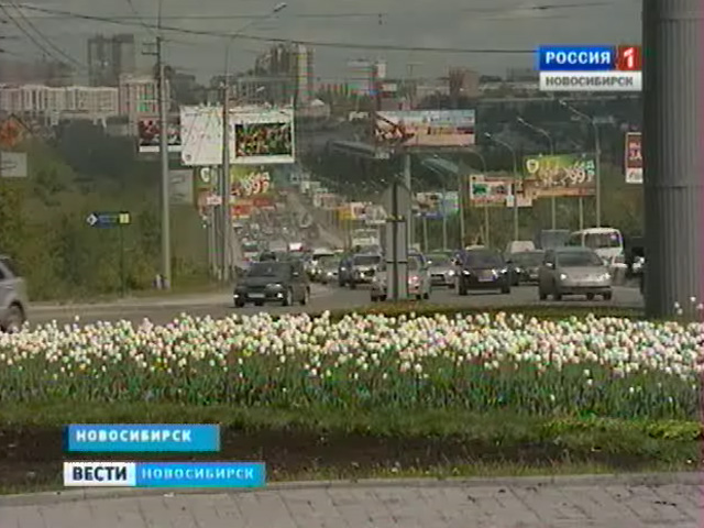 Новосибирск в этом году должны украсить более трех миллионов растений