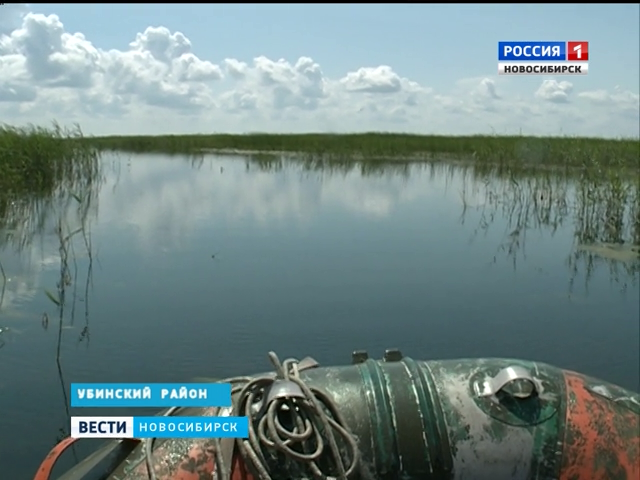 Высохшее озеро в Убинском районе само наполнилось водой 