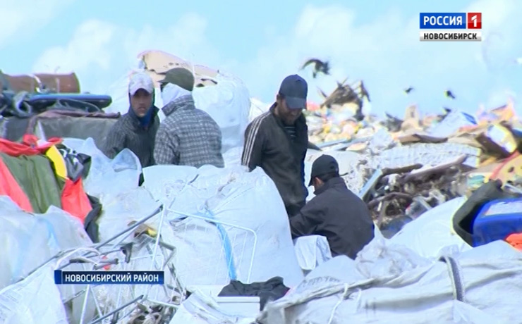 Нелегальный бизнес по переработке мусора обнаружили активисты в Новосибирске