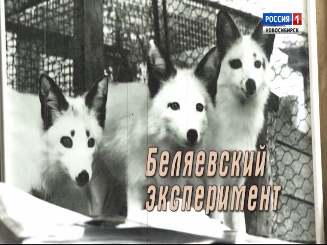 fff9755480aa9828340f7ec364169041.png