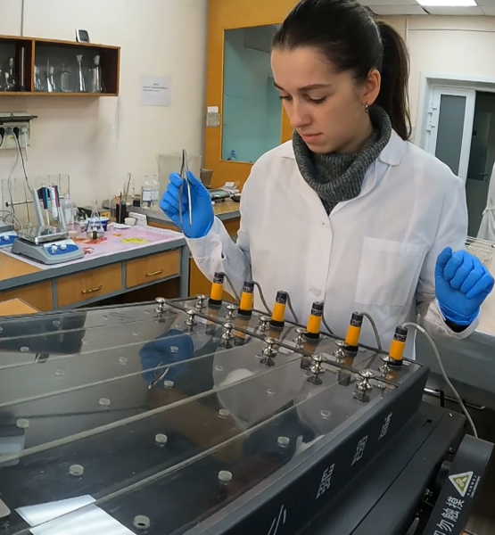 Ученые запатентовали метод синтеза бетулиновой кислоты. 2.png