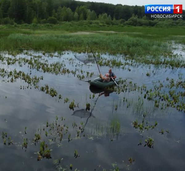 ловля мальков ловля мальков