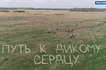 В Новосибирске показали новый документальный фильм «Путь к дикому сердцу»