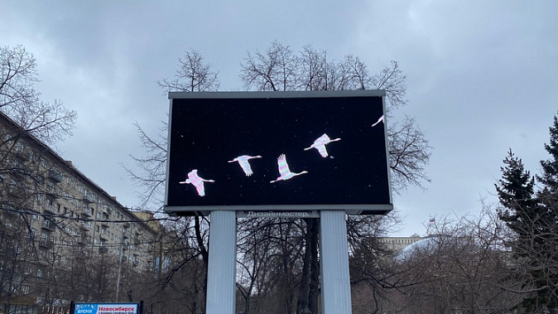 На новосибирских билбордах запустили клин журавлей в память о жертвах теракта