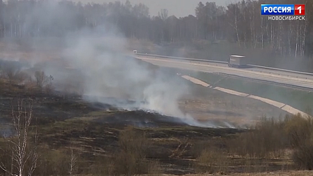 В Новосибирской области объявили пожароопасный режим