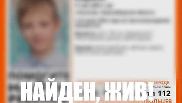 В Новосибирской области нашли живым пропавшего 11-летнего школьника 