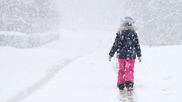 Больше тысячи детей не попали в школы из-за 40-градусных морозов в Новосибирской области