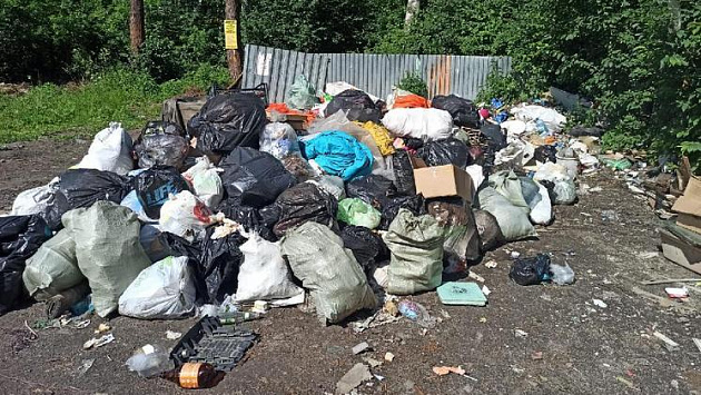 В Новосибирске с помощью прокуроров устранили незаконную свалку бытовых отходов