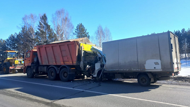 В Новосибирской области 38-летний мужчина погиб при столкновении двух грузовиков