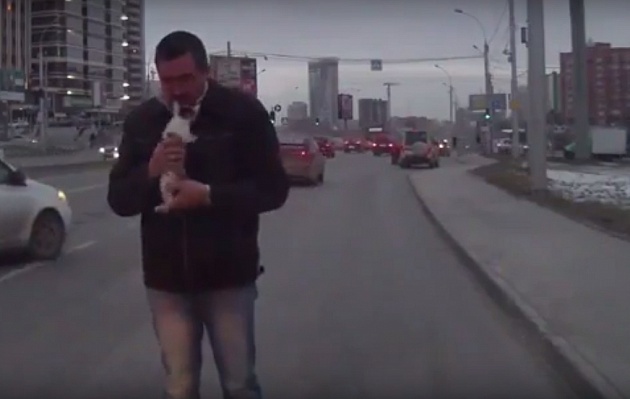 В Новосибирске мужчина спас из-под машины котёнка