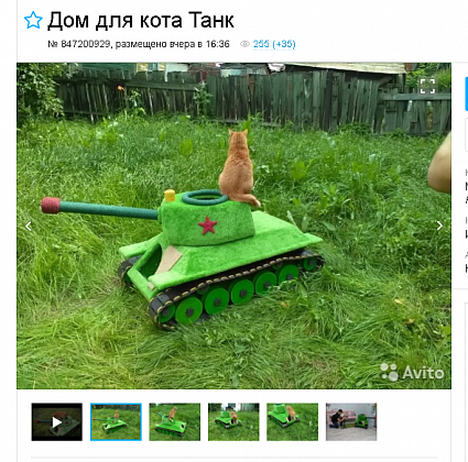 Гражданин Новосибирска сделал танк для кота