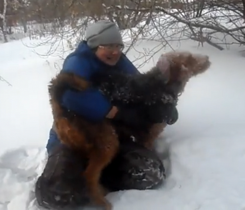 В Новосибирске спасатели вытащили собаку, просидевшую сутки в колодце