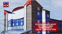 Какие спортивные объекты достраивают в Новосибирской области: инфографика