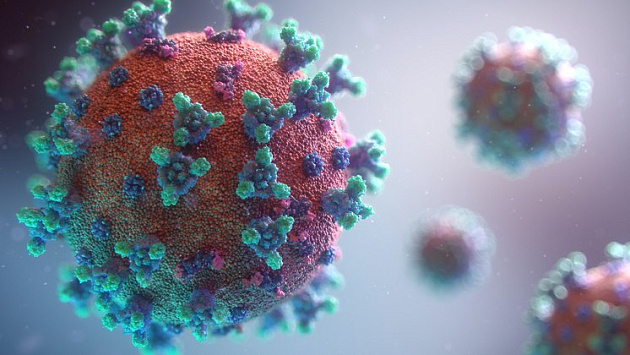 Еще 89 новосибирцев заразились коронавирусной инфекцией