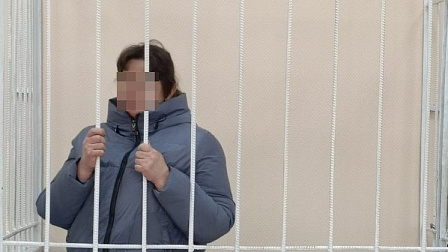 Новосибирский областной суд оставил под стражей обвиняемую в убийстве ребенка